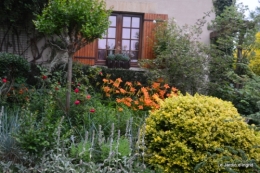 en juin jardin 091.JPG