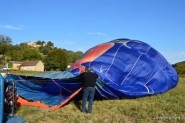 Vol mongolfière,compo fleurs grenouille 015.JPG