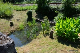 chez Fabien,le canal,jardin,hémérocalles,le souci,potager 161.JPG