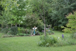 tour du jardin en juin 113.JPG