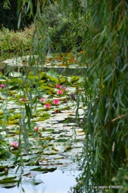 les jardins d'eau de Carsac 105.JPG