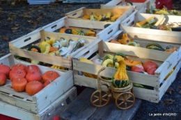 Issigeac,citrouilles ,rhus,automne,jardin 020.JPG