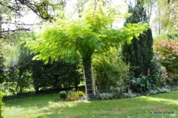 jardin automne,mariage Estor,barrage Bergerac 005.JPG