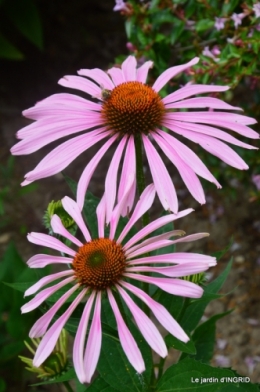 tour de France,jardinde Mme Peyrichou 015.JPG