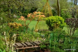 jardin printemps 096.JPG
