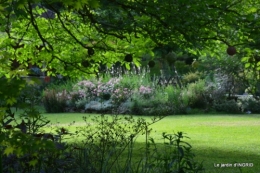 inondation,jardin,oeufs cygnes,chez Nathalie 043.JPG