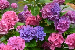 tour de France,jardinde Mme Peyrichou 028.JPG