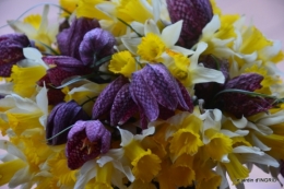 les jonquilles des bois 049.jpg