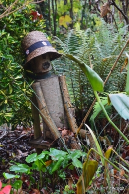 Brouillard,cypres chauve,jardinage 055.JPG
