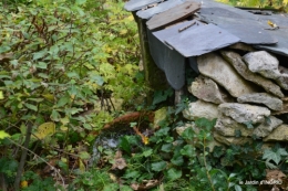 brocante st avit Se.jardin st Avt,récolte tomates 130.JPG