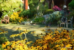 mon coin,Monique,les oies,mon jardin 040.JPG