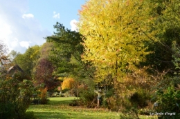 jardin serre bucher automne 052.JPG