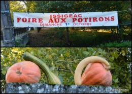 2020-10-18 Issigeac,citrouilles ,rhus,automne,jardin2.jpg