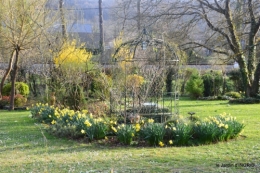 primevères ,jardin 024.JPG