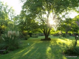 jardin 2010 2011 les plus belles 008.JPG