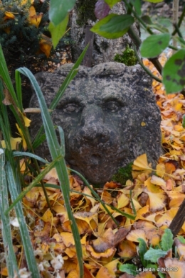 composition,kakis,jardin givré,asclépias,lalinde 082.JPG