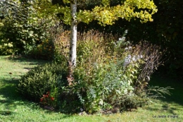 jardin début d'automne ,Sophie,rouge 072.JPG