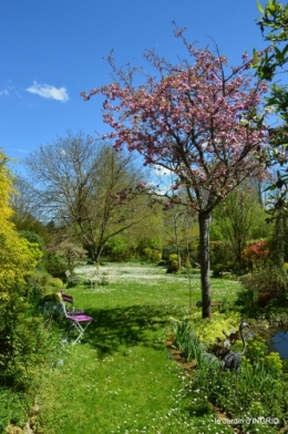 jardin printemps 043.JPG