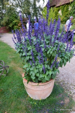 jardin de Marie,éoliennes,Ciron,Angles,Fontgombault 101.JPG