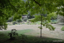 orage,puces,bouquet,Anniv.Ines,Brantome,Jardins d'eau 254.JPG
