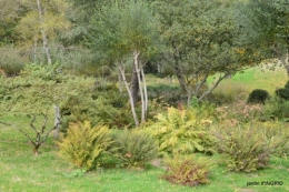 Famille,Viaduc,Photos anciennes,Chaumont,Val Maubrune 621.jpg