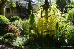 citadelle Blaye,bouquet,jardin,dahlias 097.JPG