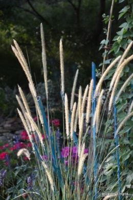 BERGERAC,jardin 077.JPG