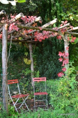 jardin ,chez Fabien,automne 091.JPG