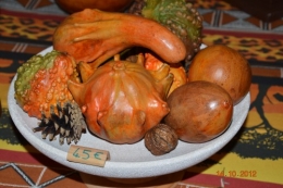 champignons,citrouilles,st Mayme de Péreyrol,fuschias,jardin aut 091.JPG