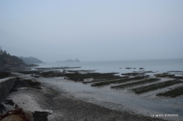 Cancale,plages du D,Joseph,Mesnil Gaillard,Miromesnil 055.JPG