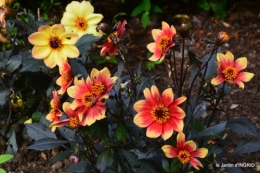 jardin,portes ouvertes,Julie 102.JPG