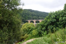 sentier des cygnes,hémérocalles,bouquet,jardin 098.JPG
