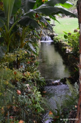 jardin automne,voisinage,canal 013.JPG