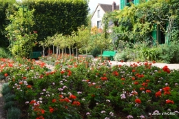 bouquet,jardin de Monet,les vaches,Pourville sur mer 045.JPG
