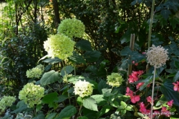 dahlias,jardin,puces st Avit Seigneur,Paniers Issigeac,Romane 068.JPG