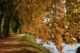 canal automne ,jardin,Ines 101.JPG