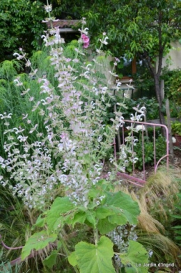 chez Fabien,le canal,jardin,hémérocalles,le souci,potager 106.JPG