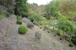 jardin,premières roses,colline,avant l'orage 015.JPG