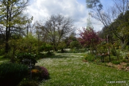 le printemps ,paquerettes,tonte,Anni. Jérome 085.JPG