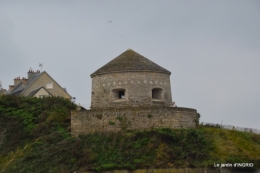 Cancale,plages du D,Joseph,Mesnil Gaillard,Miromesnil 096.JPG