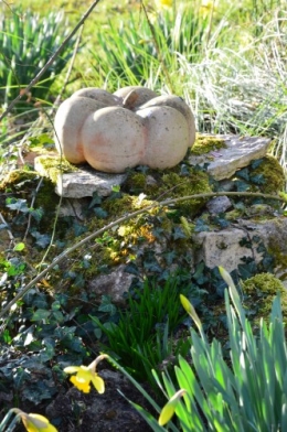 anniversaire Brigitte,fête de l'arbre Montignac,jardin 006.JPG