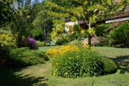 tournesols,podium,Lucas,jardin,Calès 138.JPG