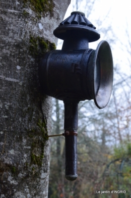 Brouillard,cypres chauve,jardinage 024.JPG
