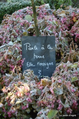 givre,dégats gelée 017.JPG