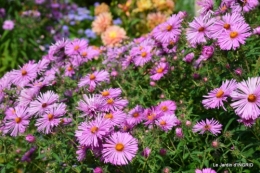jardin ,bouquet 084.JPG