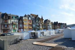 la baie de Somme 126.JPG