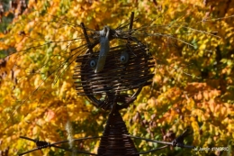 jardin automne,voisinage,canal 146.JPG