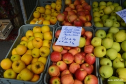 fête de la citrouille,jardinage,jardin 088.JPG
