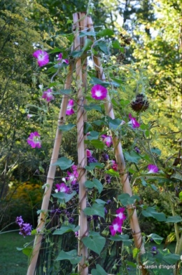 jardin,les filles,fleurs Peyrichou 039.JPG
