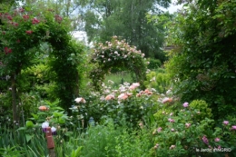 cygnes,Sophie,jardin en mai 075.JPG